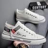 2025 Men's Breathable Versatile Canvas Sneakers - Trendy Summer Low-Top Casual Shoes for Youth