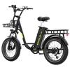 Electric Bike Adult KOOLUX 20" 750W Motor Top Speed 50Km/h 48 V 25AH Max Range 120Km Load 120Kg Black X7