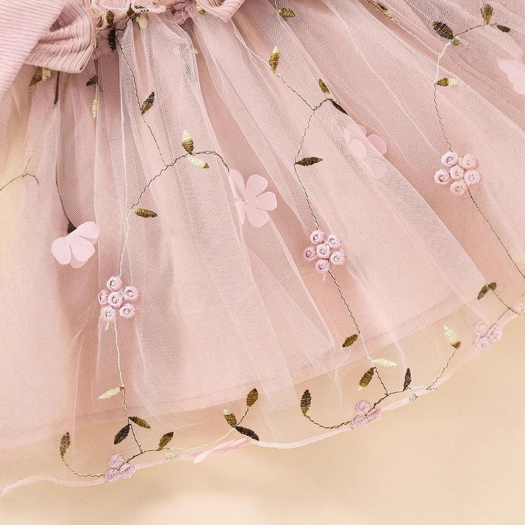 2024 Spring & Autumn European-American Mesh Long Sleeve Dress for Baby Girls - Trendy Children's Fashion Skirt.