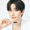 The Saem Cover Perfection Stick Concealer 2.5g