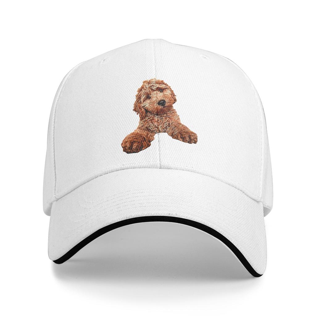 Cavapoo Labradoodle Goldendoodle Pudel Mischling Lässige Baseballkappe Laufen Hippie Hip Hop Hüte Frühling Sonnenschutz Baseballkappen