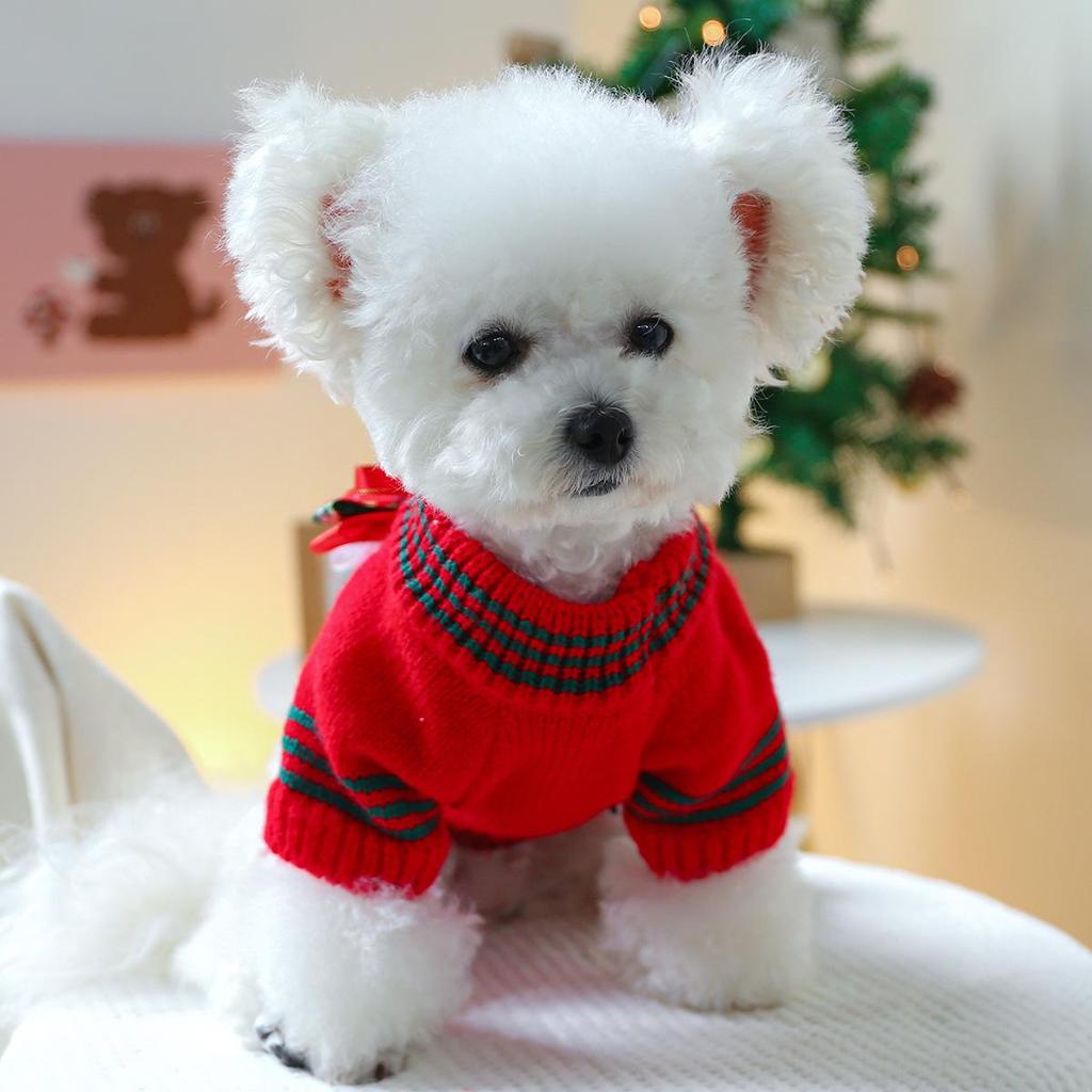 PETCIRCLE Holiday Christmas Knitted Sweater Collection for Pets - Autumn/Winter 