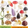Simulated Vegetables & Mushrooms: Educational Props & Decorative Toys for Kindergarten