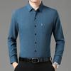 Shirt Autumn Long Sleeve Lapel Collar Business Casual Men's