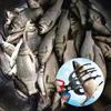 1/2Pcs 3 Claw Fish Gripper with Ergonomic Handle Non-Slip Portable Metal Fishing Pliers Gripper Multifunctional Fish Grips Clamp