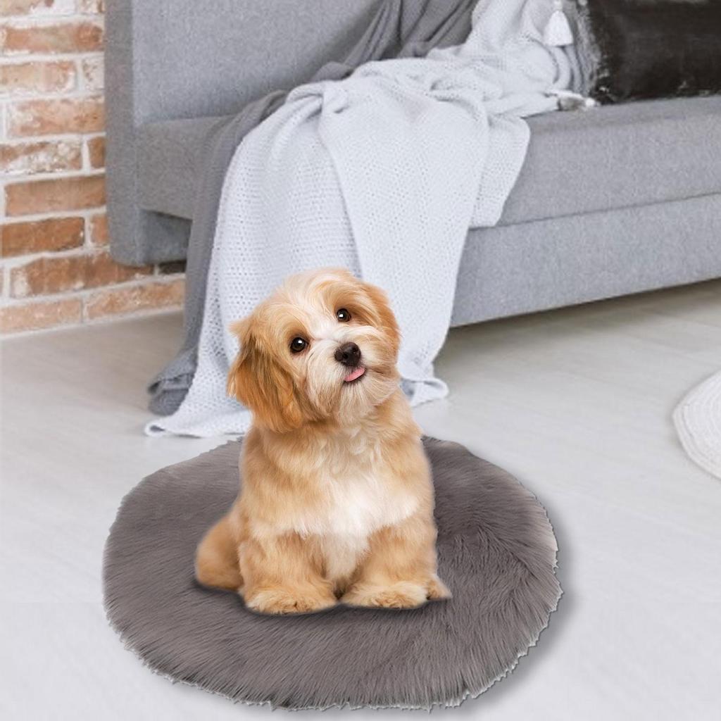 small electric blanket for pets