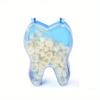 50Pcs/Box Dental Crowns Resin Realistic Dental Crowns Porcelain Temporary Teeth Crown Oral Teeth Whitening Anterior Molar Crown.