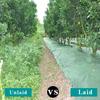Double Layer Perforated Grass Proof Cloth Biodegradable Weed Control Ground Cover  Courtyards