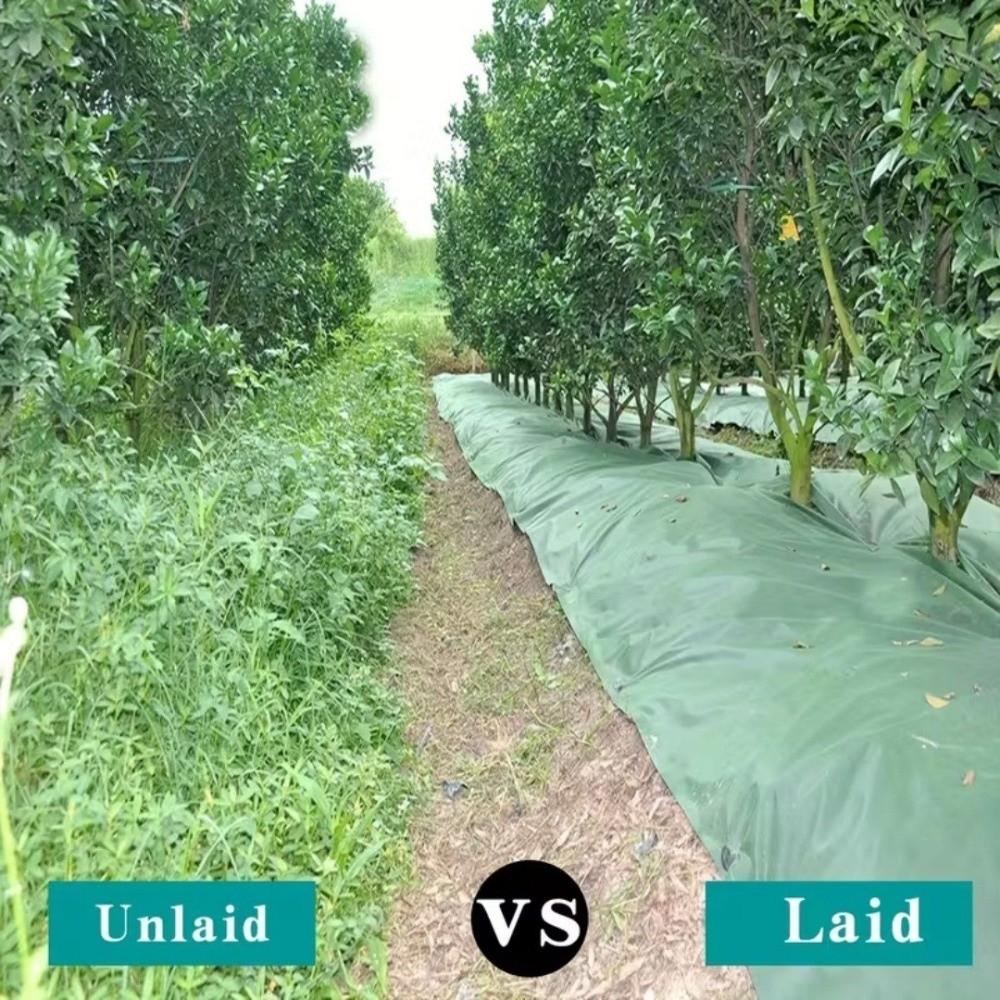 Double Layer Perforated Grass Proof Cloth Biodegradable Weed Control Ground Cover Courtyards