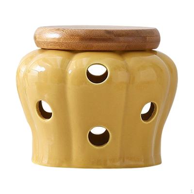 Garlic Keeper Ceramic Jar Cellar Pot for Kitchen Round Vented Decorative Modern Ginger Dried Chili