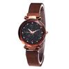 Ladies' Top Brand Star Watch Mesh Magnet Starry Sky Quartz Watch Ladies Magnet Strap Watch Round Dial Magnet Strap Buckle Watch