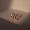 Simple and Elegant Stud Earrings for Women, New Style, Niche, High-end, Sophisticated, Cool and Calm Style, Design Ear Loop