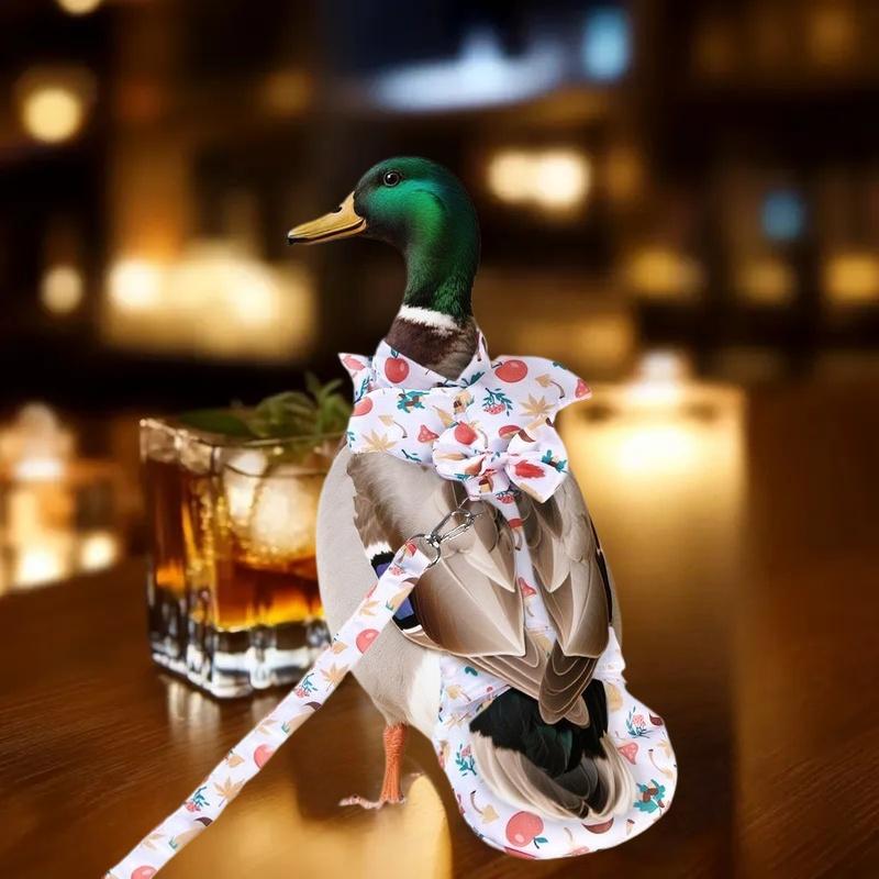1/2Pcs Cute Cartoon Fashion Chicken Duck Vest Diaper Hen Belt Pet Traction Rope Set Comfortable Leads Pet Poultry Supplies
