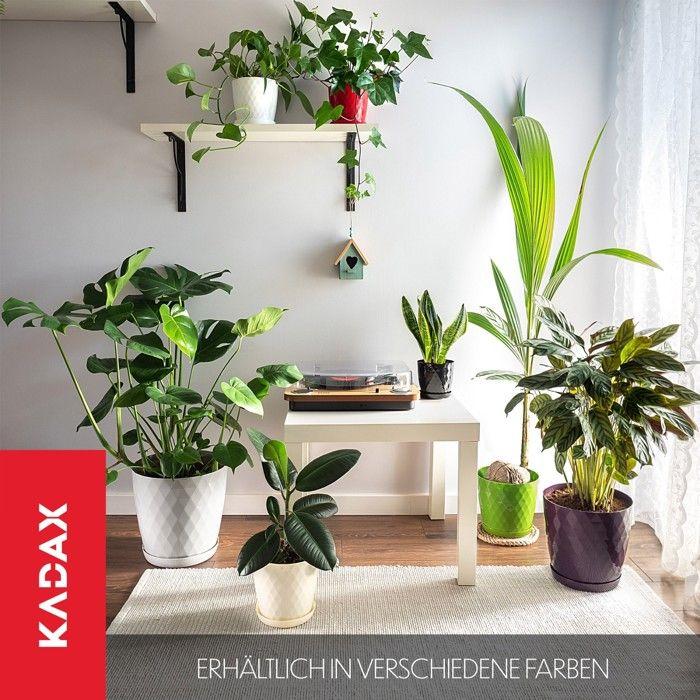 KADAX Pot de Fleurs en Plastique avec Soucoupe Intégrée, Pot de Plante pour Une Décoration Florale Moderne (18 cm, Blanc)