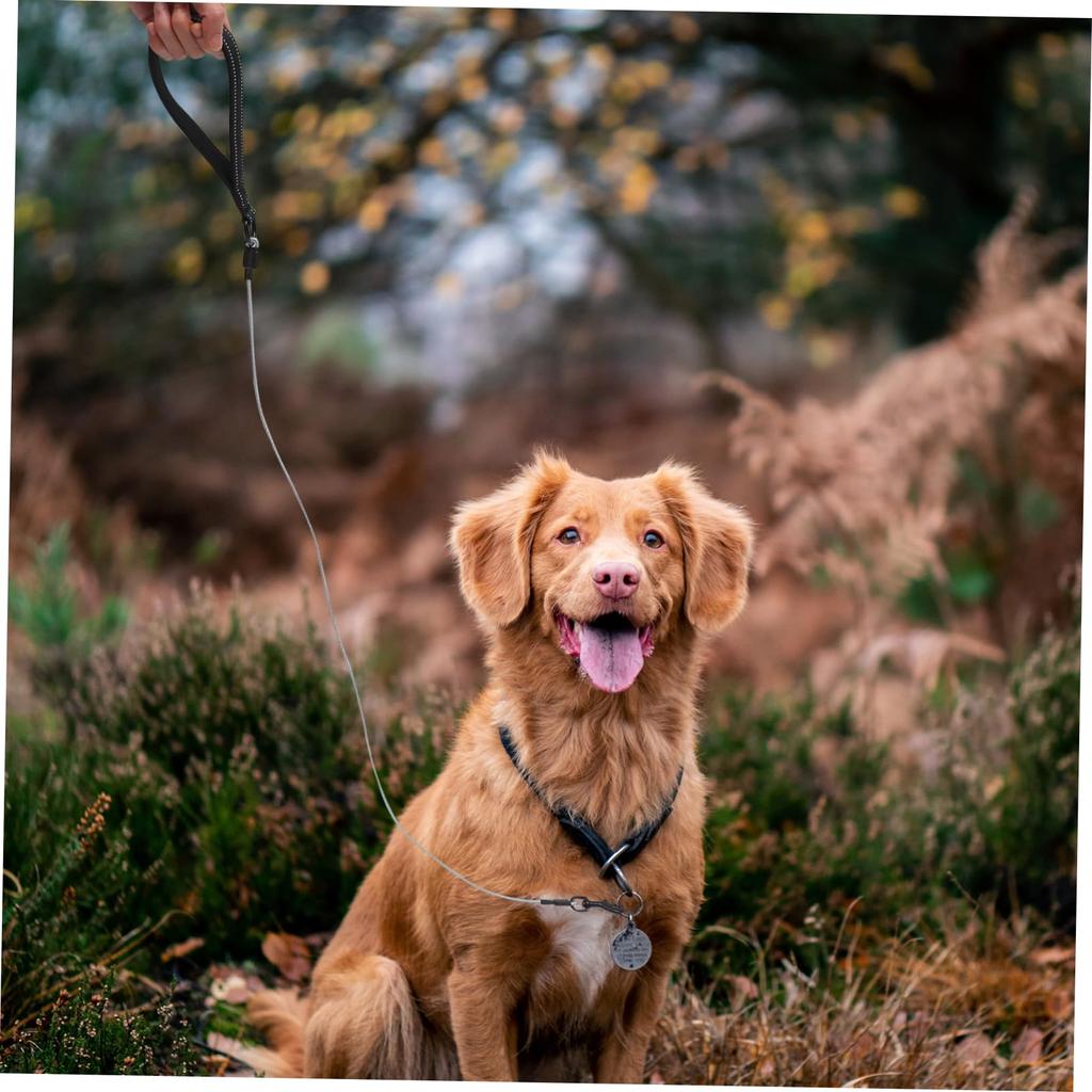 Sosoport Dog Leash with Steel Pet Walking Suitable for and Large Breeds Wire, Handle, Anti-Chew Rope, Dogs, Small, Medium,