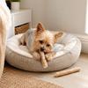 Bastoncino per Cani in Legno di Caffè Naturale - Giocattolo per Animali Domestici per Masticatori Aggressivi di Taglia Piccola e Media