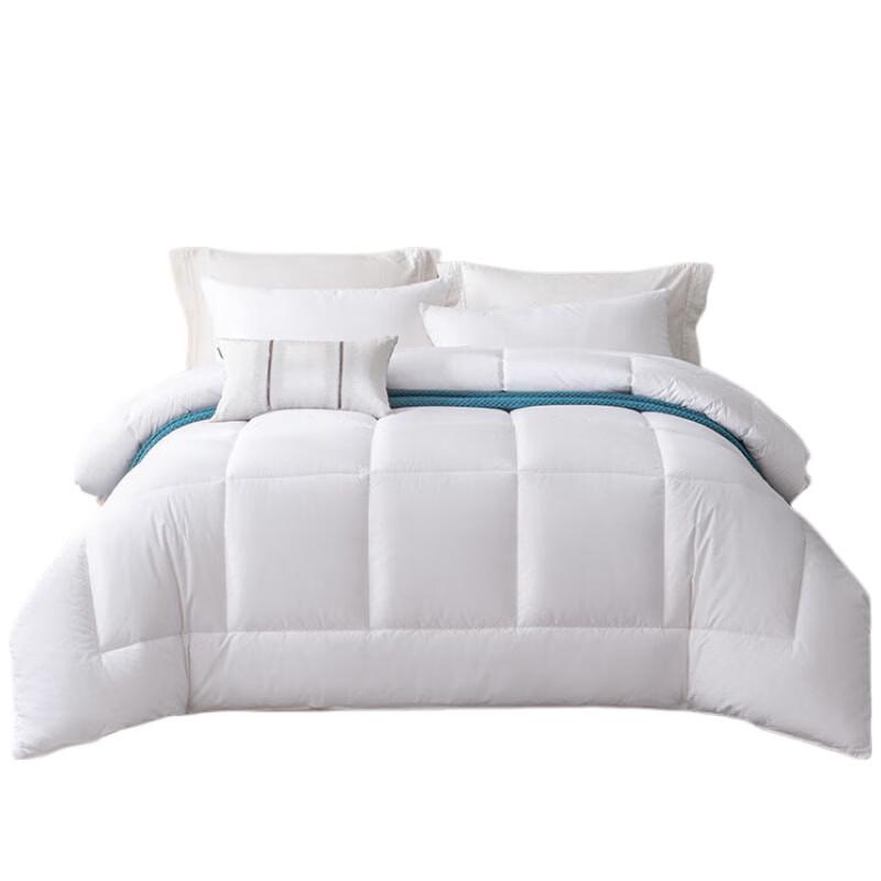 Grace Down-like Fiber Winter Comforter