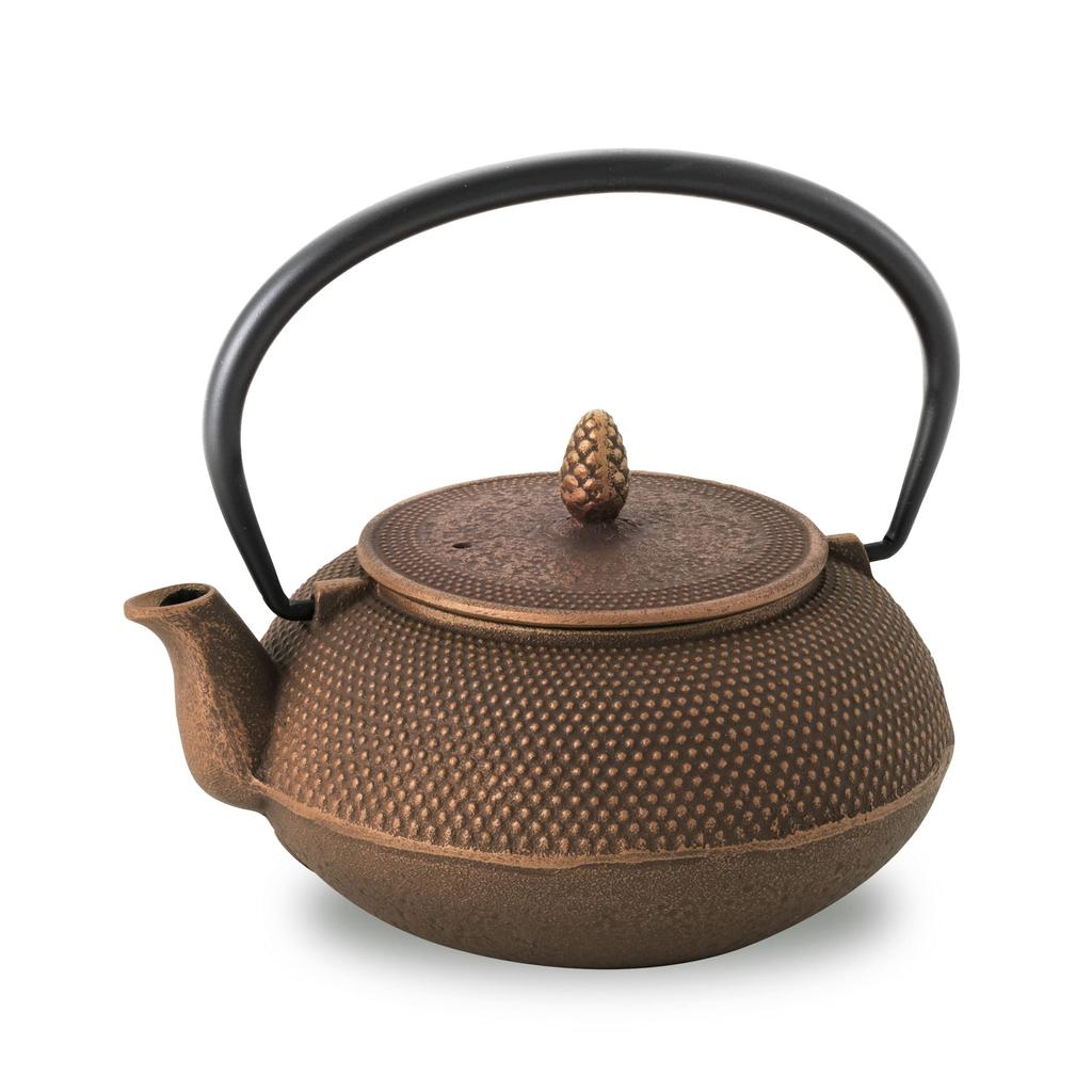 Logia Associates Nanbu Iron Teapot Noren Made in Japan with Enameled Interior and Tea Strainer Traditional Japanese Tea Pot Souvenir (Arare, Round,
