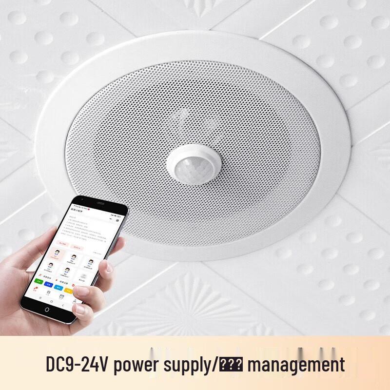

Edifier YX160 Ceiling Speaker CN plug (adapter included)