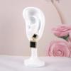 Ear Shaped Ear Studs Organizer Holder Rack Portable Earring Showcase  for Earrings