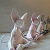 Meditating Hairless Cat Figurine Yoga Sphynx Animal Statue Relax Style Mini Ornament for Desk Living Room Decoration