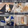 Washable Pet Pee Pads for Small Dogs Cats and Guinea Pigs 2-Pack Direct from Japan