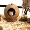 Polished Wooden Hideout Nest for Hamsters, Parrots, and Birds
