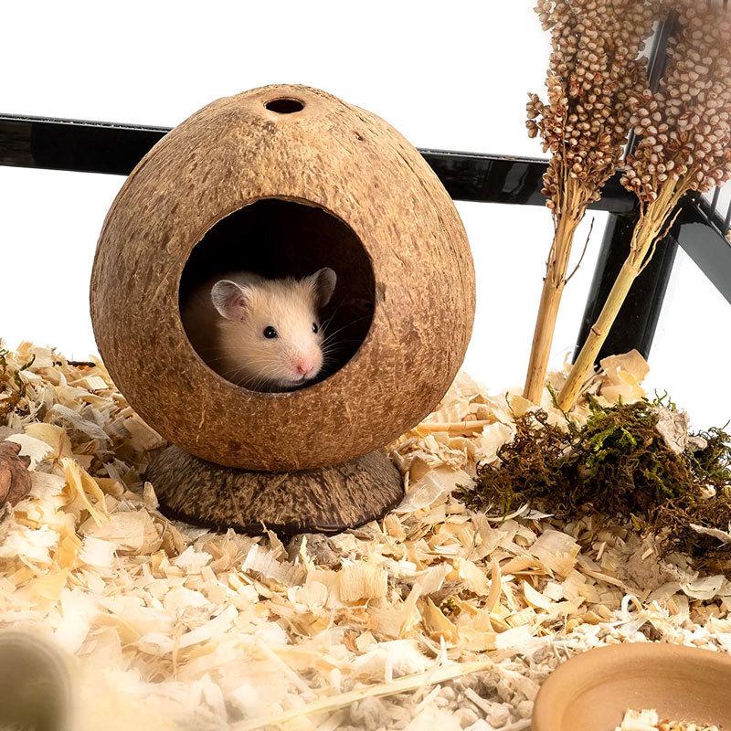 Polished Wooden Hideout Nest for Hamsters, Parrots, and Birds