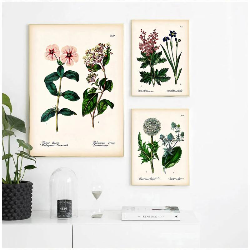 Antique Botanical Canvas Art Posters and Prints , Vintage Botanical Wall Art Painting Pictures for Living Room Home Decor