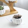 Plant Shelves Flower Display Stand Creative Succulent Plant Owl Pumpkin Bamboo Frame Ceramic Flowerpot Plant Tray