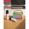 Newmine DP07 Portable Karaoke System with Dual Microphones CN Plug (adapter Included)