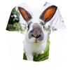 3D Rabbit Print Short Sleeve Tee Summer Kid Apparel For Daily Entertainment Outdoor Trip Weekend Family Relax Time