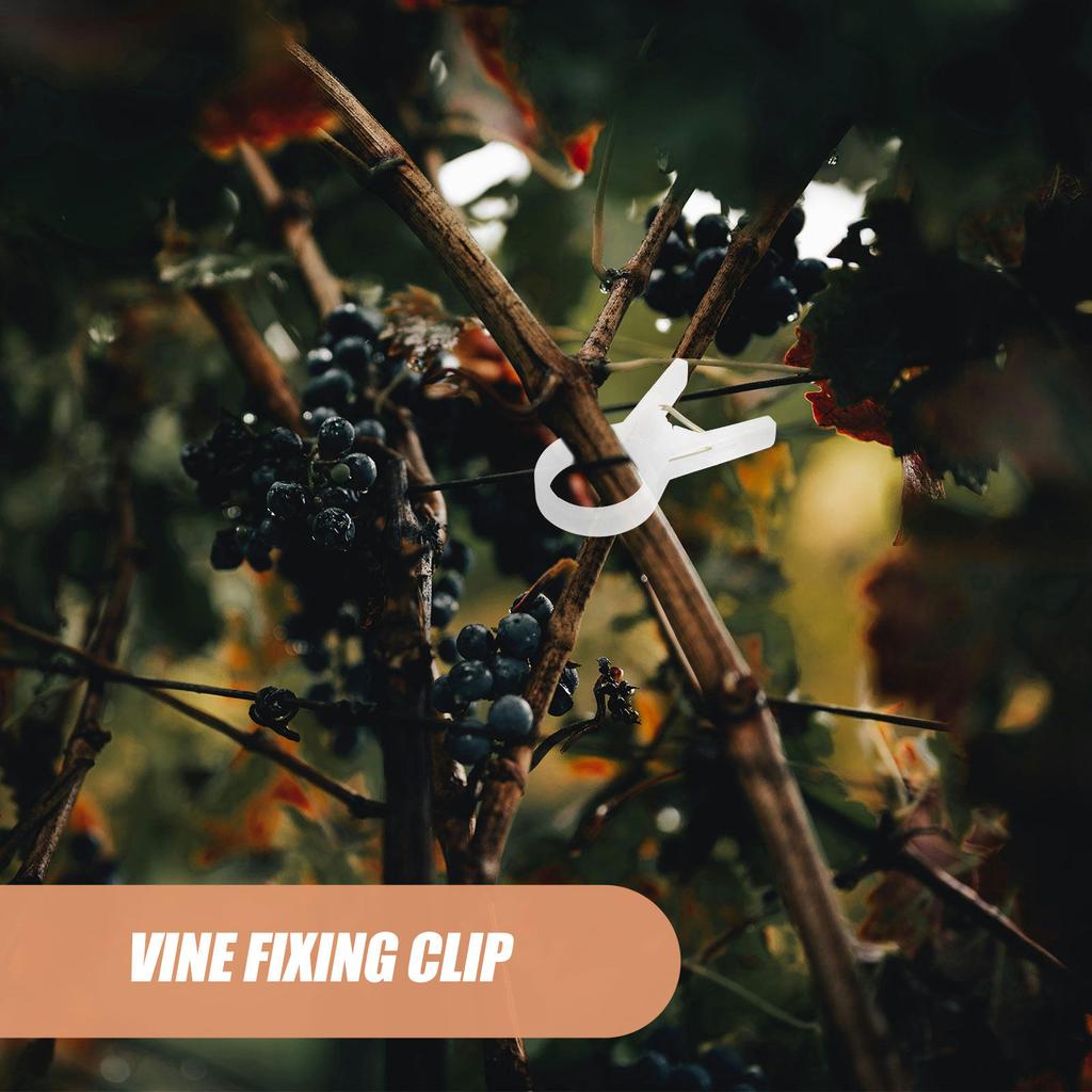 100Pcs Plastic Plant Support Clips Fixing Clips for Garden Tomato Vine Stem Climbing Plants Trellis Support Plant Clip