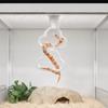 Cloud Shape Snake Climbing Toys Hanging Climbing Hoop Chain  for Birds Corn Snakes Parrot