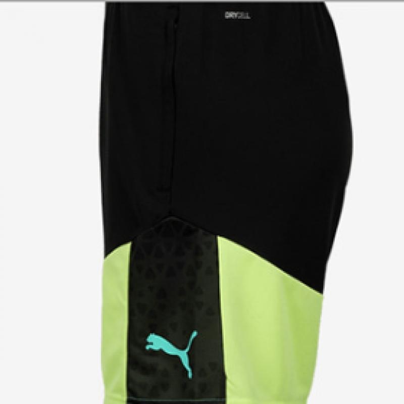 Puma Galleria Puma Indivisual Cup Functional Training Summer Shorts