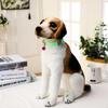 Pet Glowing Collars with Bells Glow at Night Dogs Cats Adjustable Necklace Safe