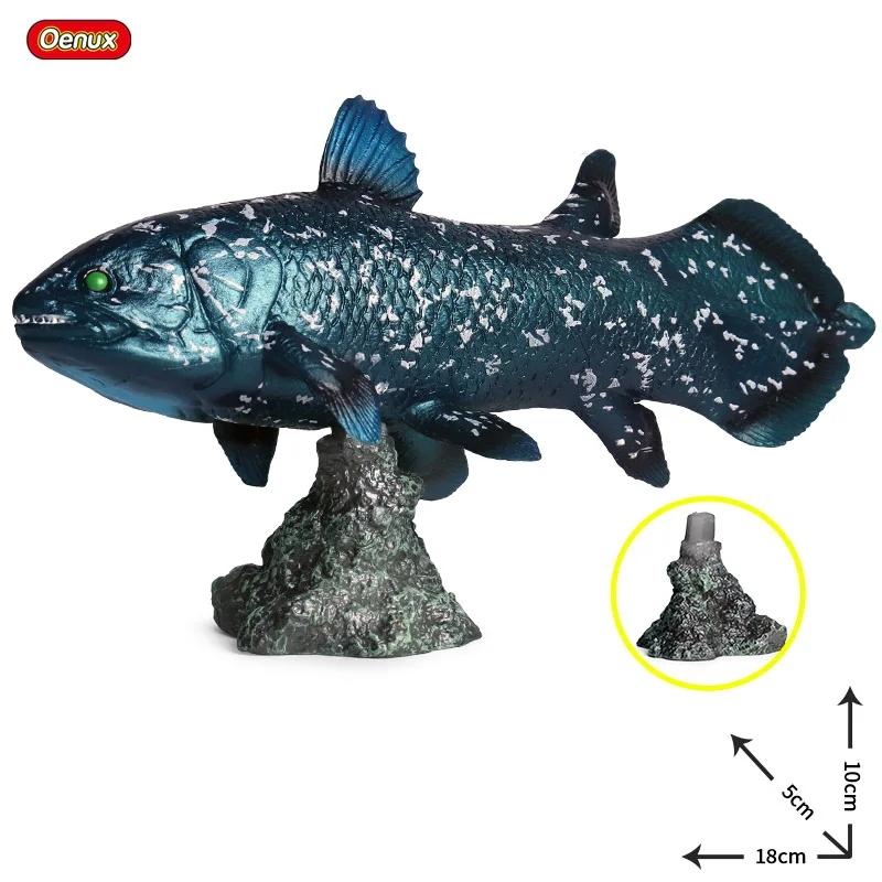 Oenux Sea Life Animals Model Action Figures Ocean Fish Sailfish Bass Grouper Salmon Aquarium Figurines PVC Educational Kids Toy
