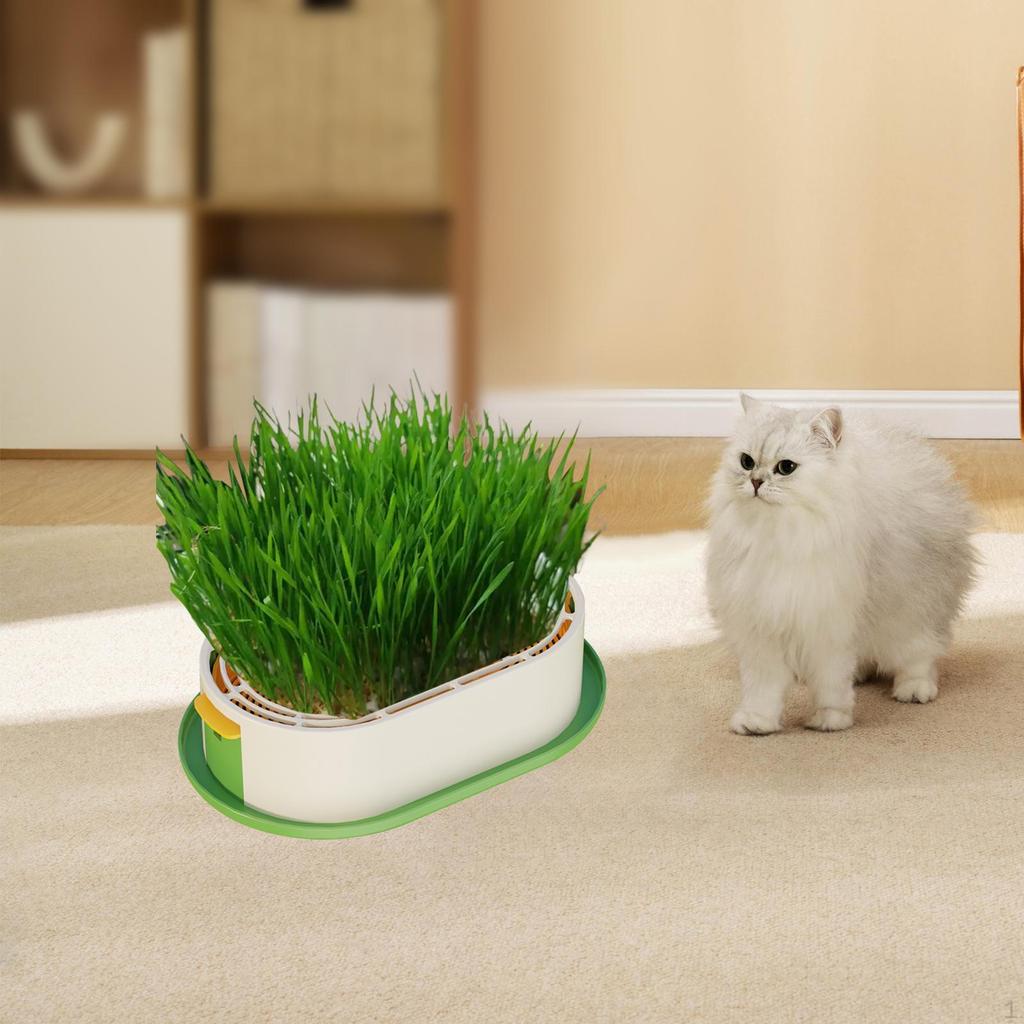 Cat Grass Germination Planter, Wheatgrass Growing Pot, Multi-purpose Accessory, Hydroponic Sprouting