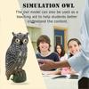 Solar Powered Owl Hunting Decoy Bird Scarer Deterrent Pest Control Garden Decor Eye Glow