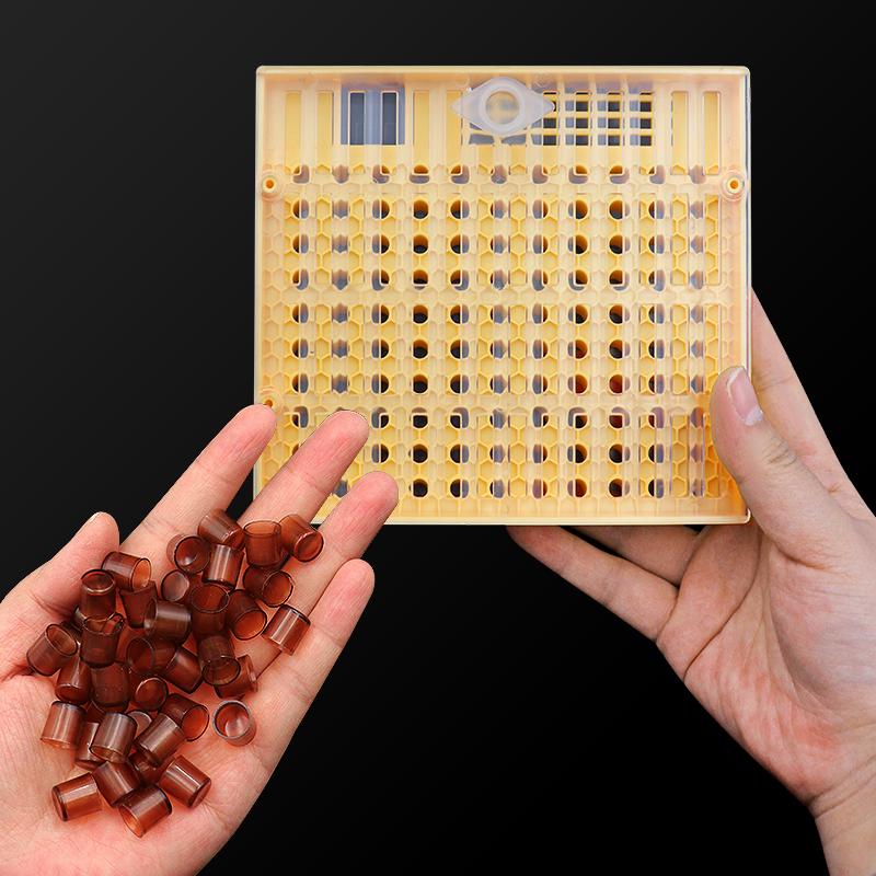 Beekeeping  Queen Rearing Cell Cup Box Kit Plastic Honeycombs Queen Cage Isolation Apiculture Equipment Accessories