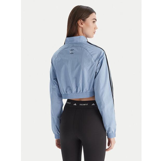 Толстовка adidas Teamgeist adicolor