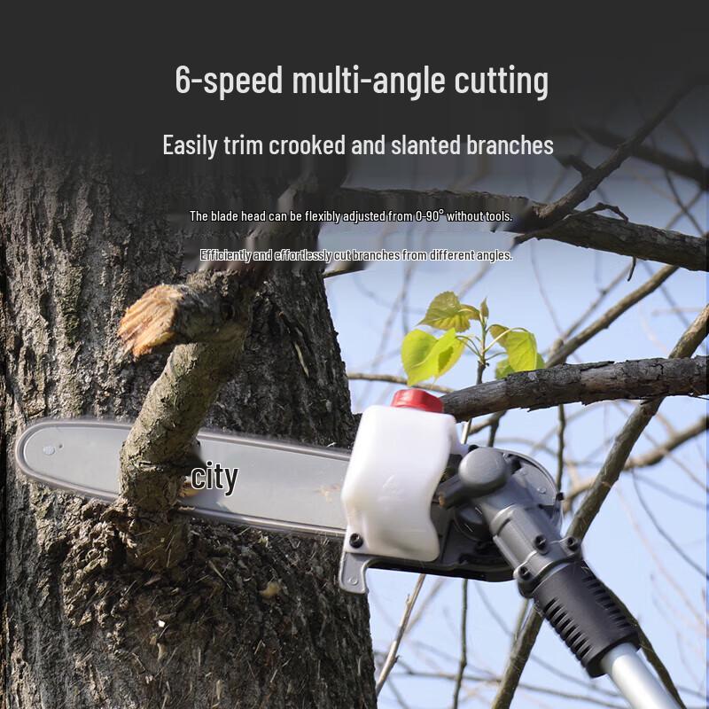 Dongcheng 20V Cordless Lithium-ion High Branch Electric Chainsaw CN Plug (adapter Included)