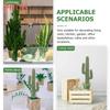 Artificial Cactus Decoration Foam Cactus DIY Micro Landscape Tropical Plants Realistic Succulent Plants Home Office Decor