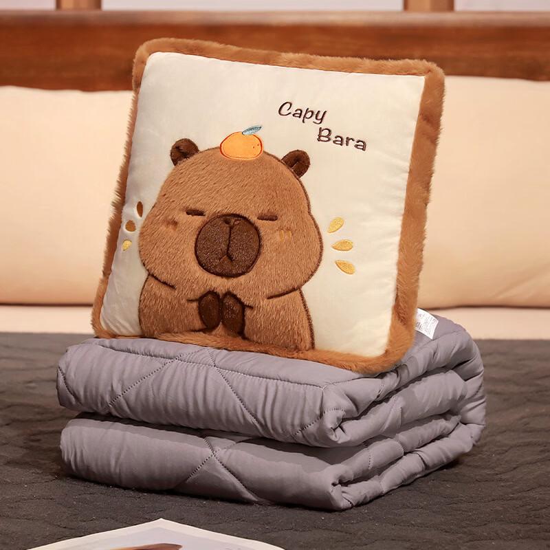 

mling Capybara Plush Pillow Blanket