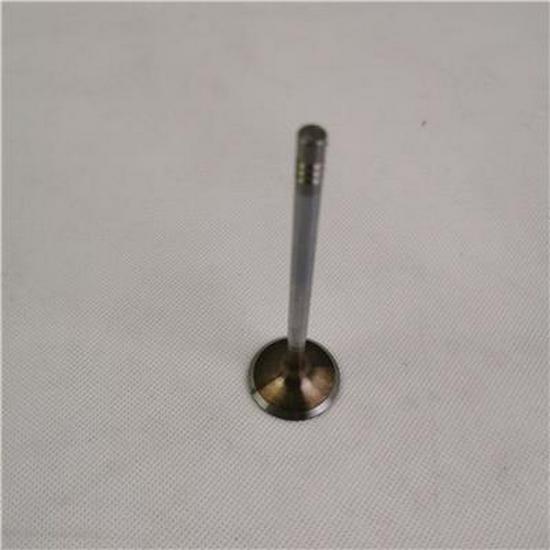 Einlassventil für Foton SPM40004172E9300