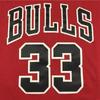 Chicago Bulls 33 Scottie Pippen Retro Basketball Jersey Sleeveless Breathable Loose Fit Men Women Sport Wear