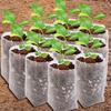 500/100Pcs Plant Nursery Bags Biodegradable Non-Woven Fabric Seedling Pouch Flowers Fruit Tree Seed Grow Bag Pot Garden Supplies