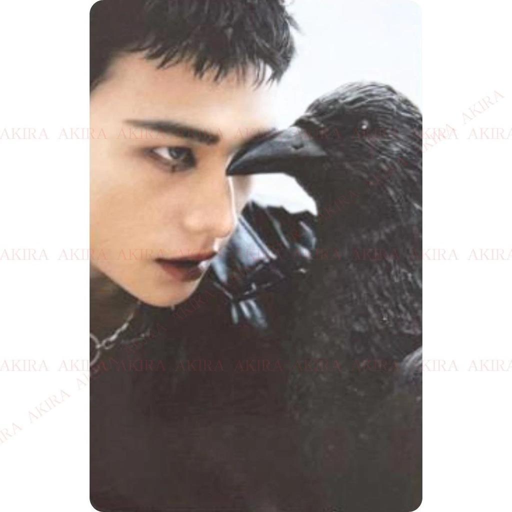 STRAY KIDS SKZ IT TAPE DO IT Album Photo Card JAPAN POB OFFICIAL