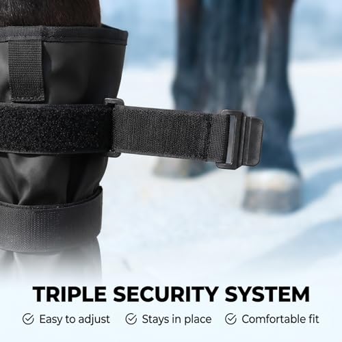 Horse Soaked Boots With External Activity Pads And Two Elastic Bands