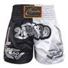 Kids Boy Color Block Patchwork Boxing Shorts Wide Elastic Waistband Side Slit Training Shorts